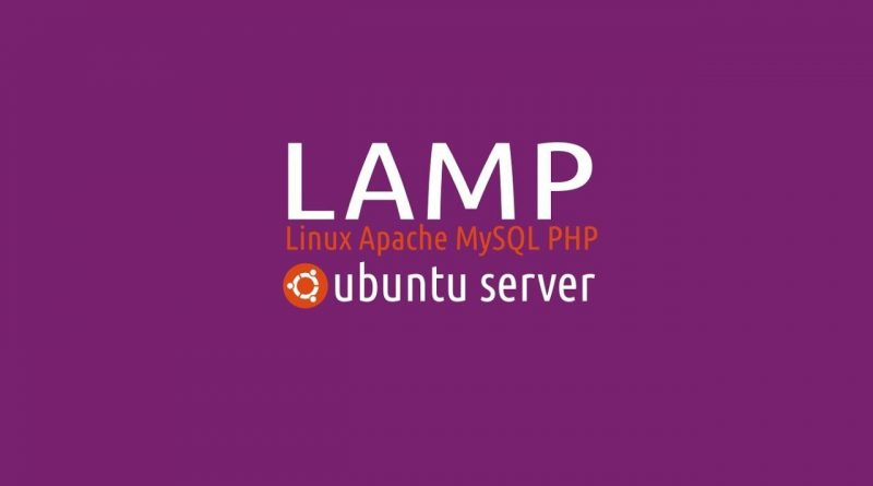 phpmyadmin root password lamp