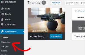 How To Use WordPress Theme Customizer