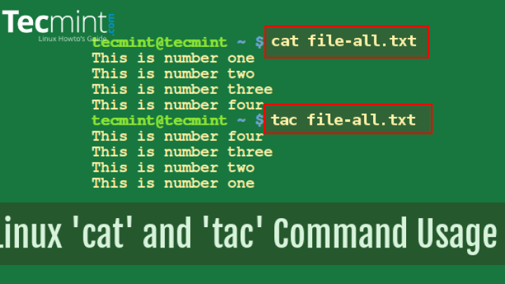 Linux cat command