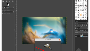 install gimp on debian linux