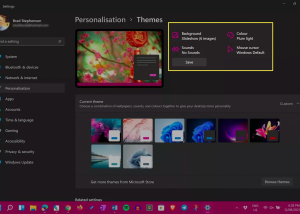 customize themes